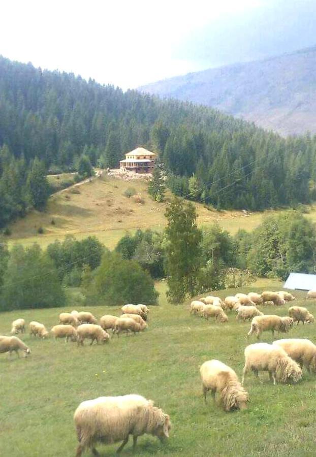 Isov Ranch Villa Plav Eksteriør bilde