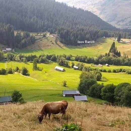 Isov Ranch Villa Plav Eksteriør bilde