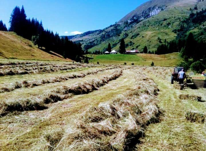 Isov Ranch Villa Plav Eksteriør bilde
