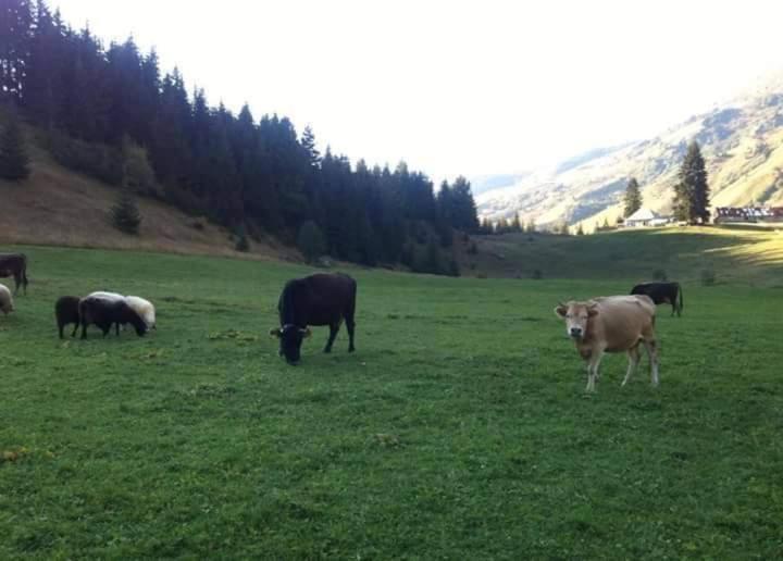 Isov Ranch Villa Plav Eksteriør bilde