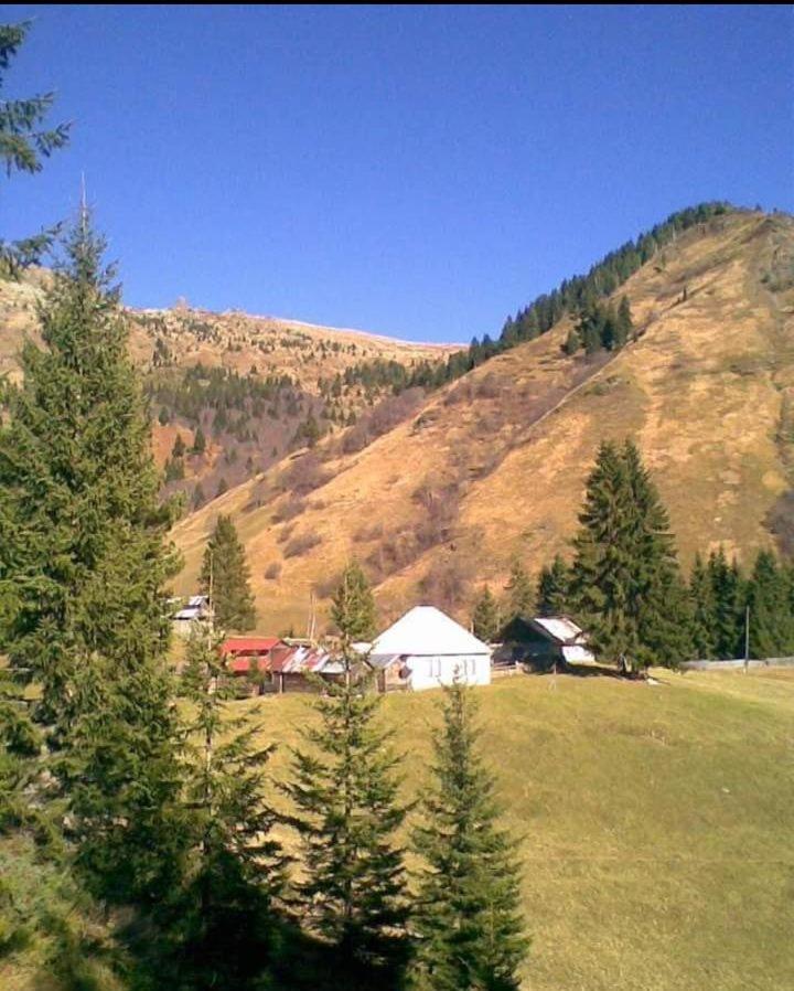 Isov Ranch Villa Plav Eksteriør bilde